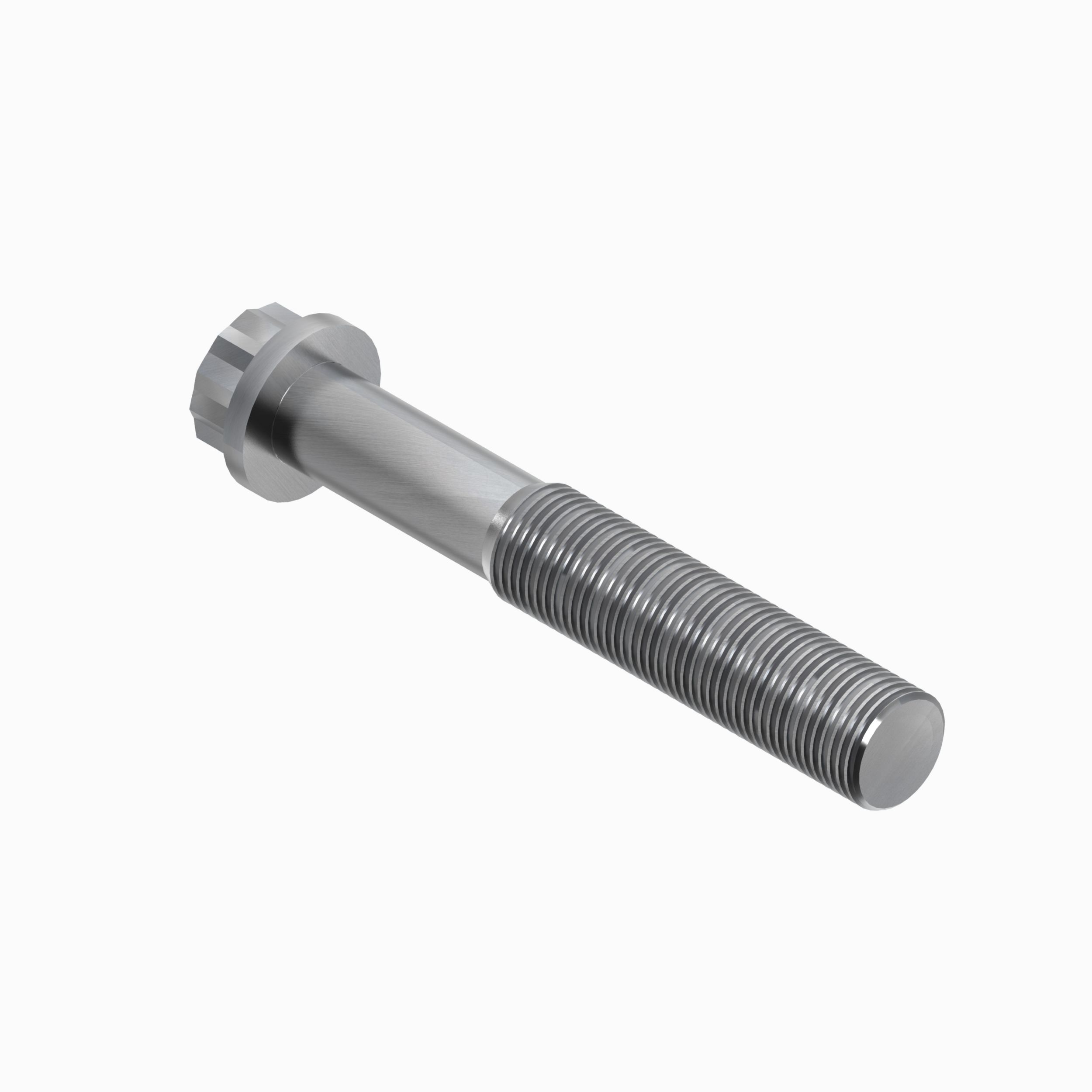 12 Point Bolt