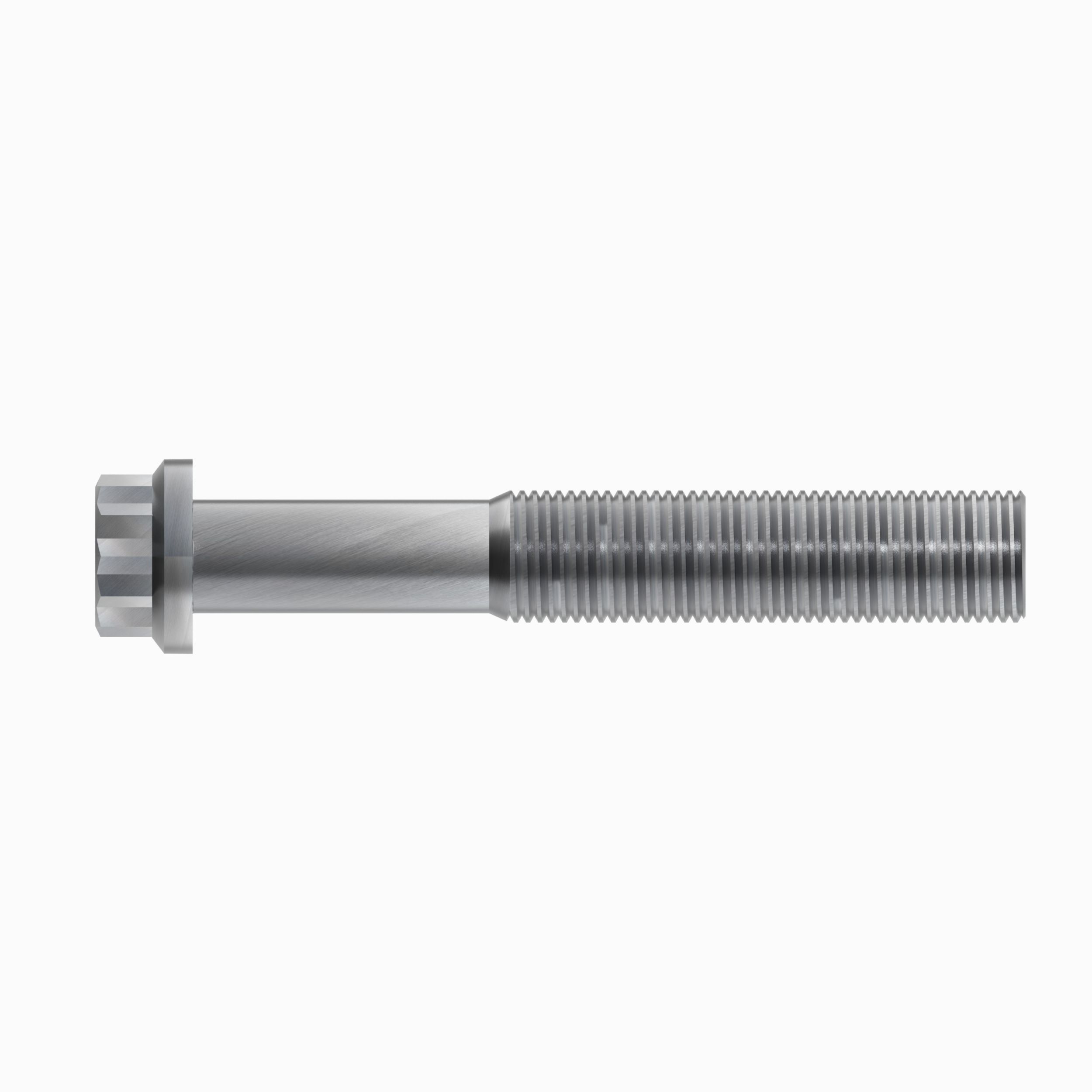 12 Point Bolt