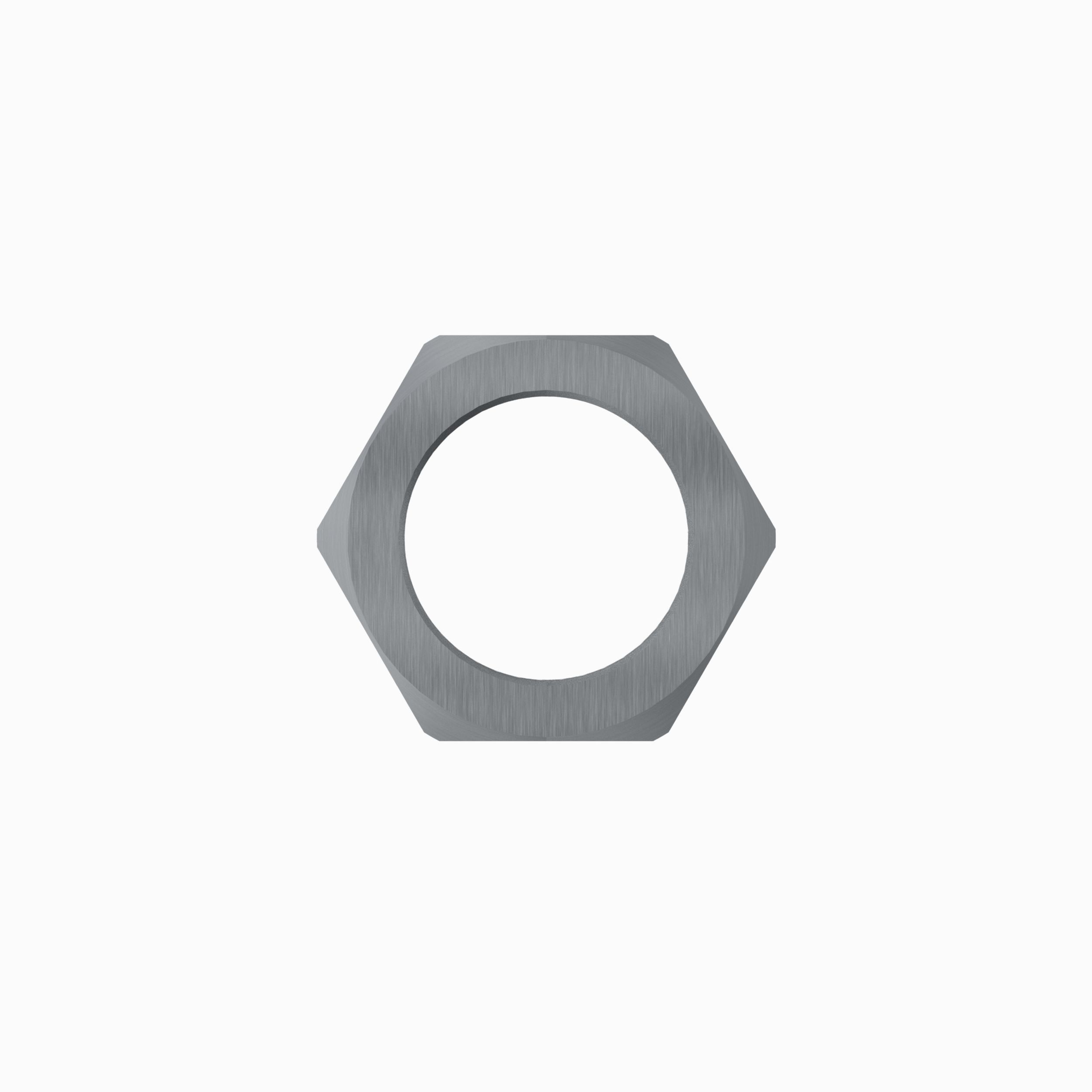 Piston Rod Locknut