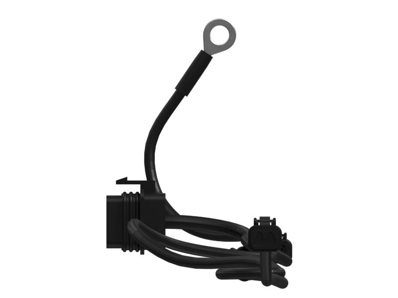 Reverse Light Wiring Harness