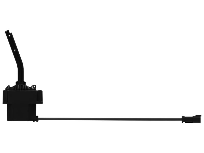 ОСНОВАНИЕ В СБОРЕ