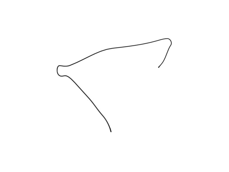 569-8058: CABLE AS-COA 5698058 купить
