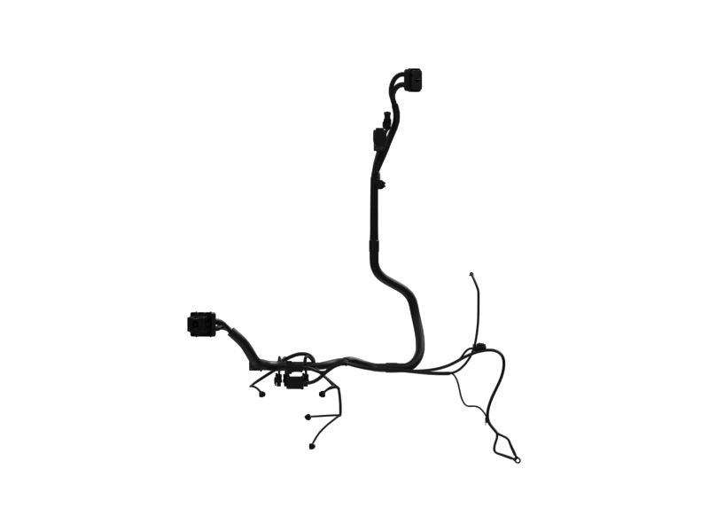 Engine Wiring Harness