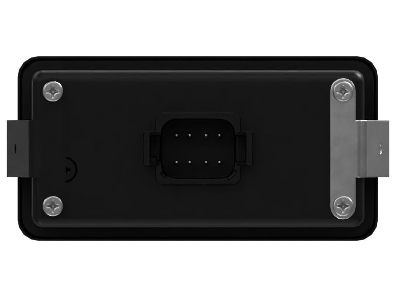 Electronic Monitoring Display Module