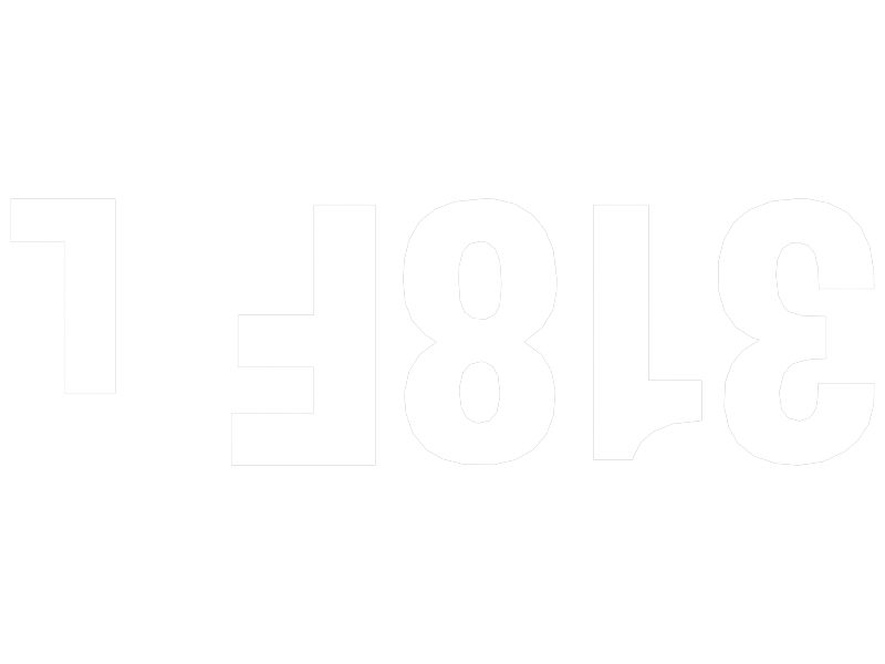 ПЛЕНКА 318F L