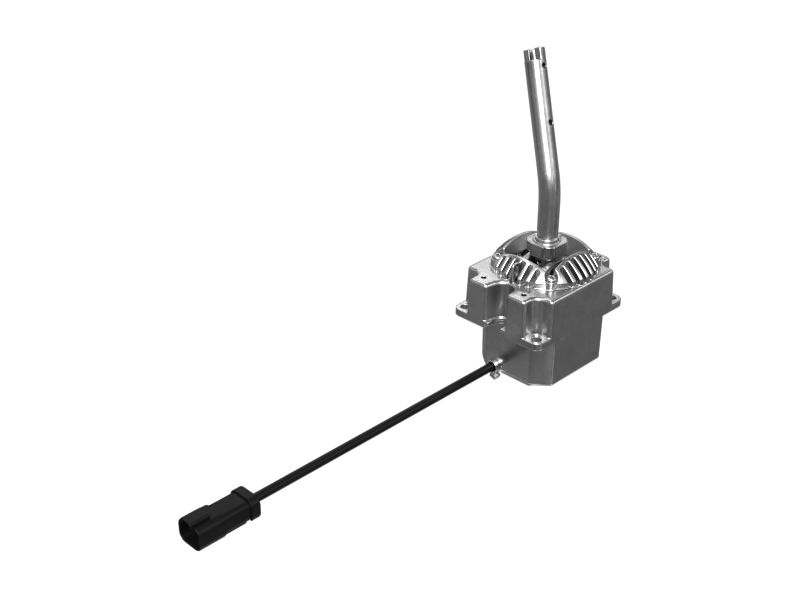 ОСНОВАНИЕ В СБОРЕ