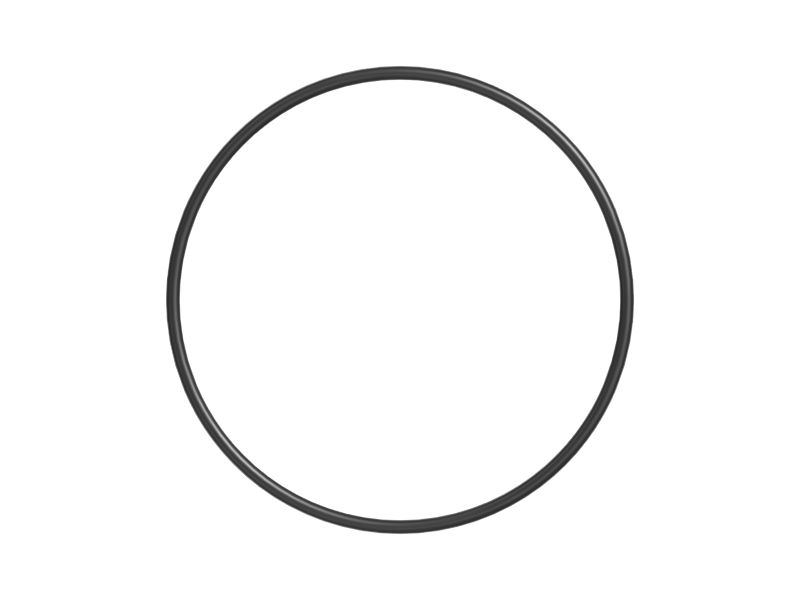 Тороидальное кольцо