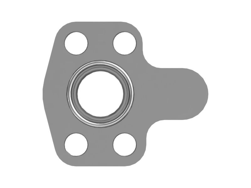 ФЛАНЕЦ В СБОРЕ