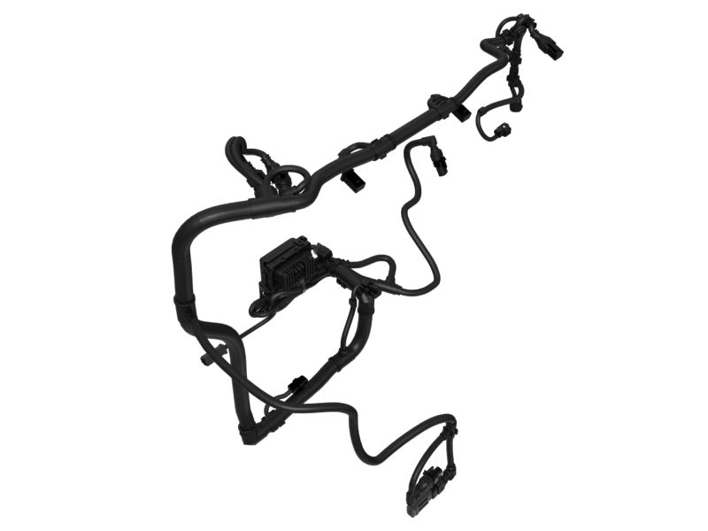 Engine Wiring Harness