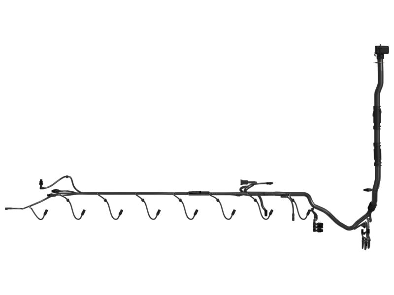 Engine Wiring Harness