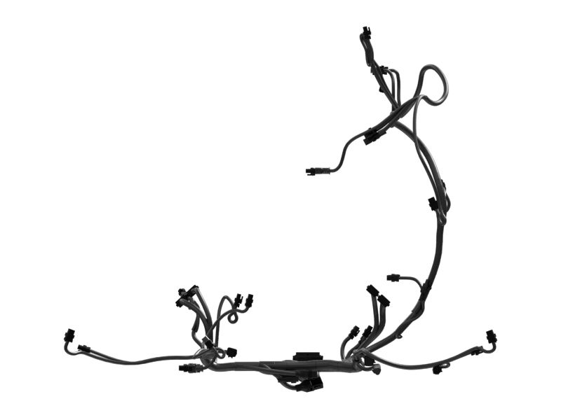 Engine Wiring Harness