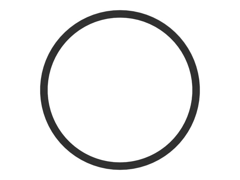 197mm Inner Diameter Piston Seal