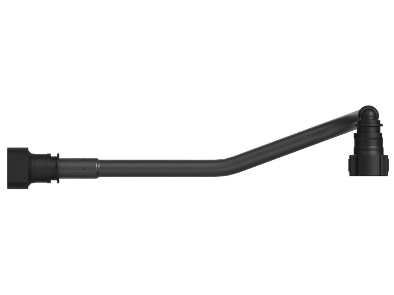 ЗОЛОТНИК ЦИЛИНДРИЧЕСКИЙ В СБОРЕ