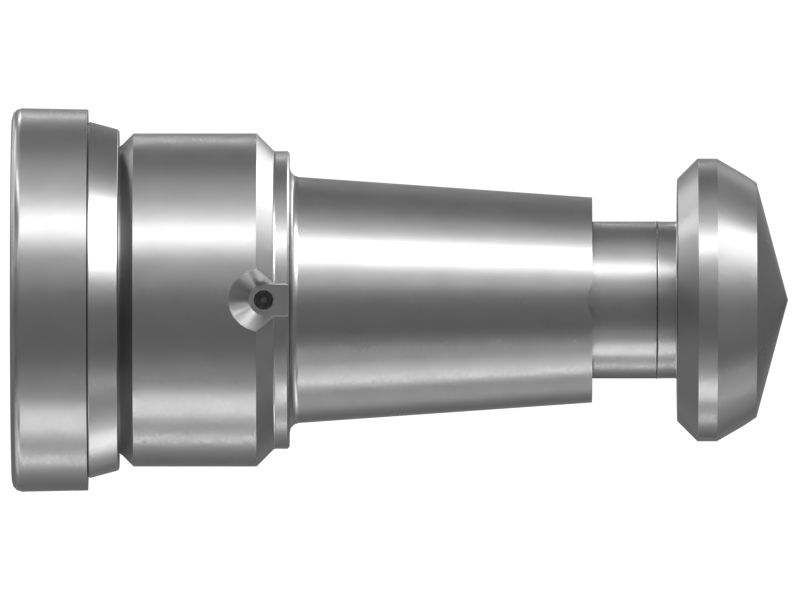 Spring Loaded Check Valve