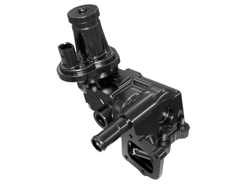 Exhaust Gas Recirculation Valve