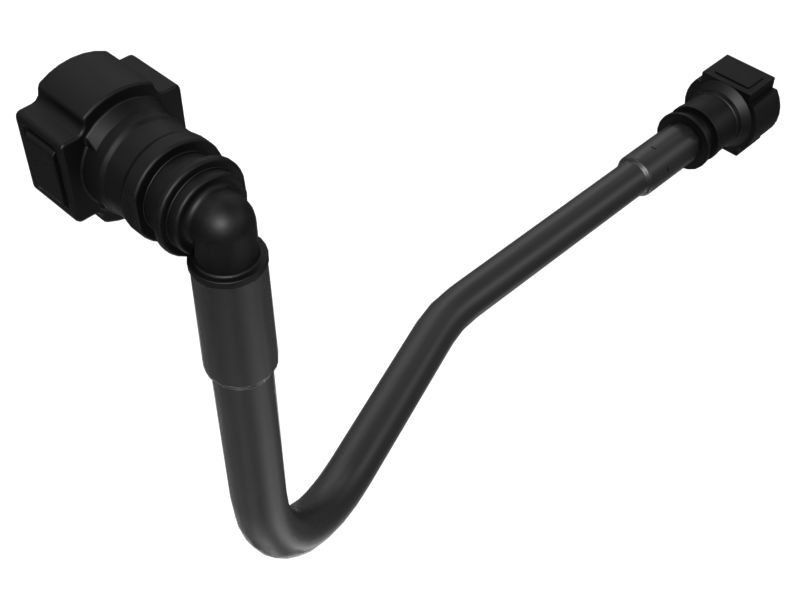 ЗОЛОТНИК ЦИЛИНДРИЧЕСКИЙ В СБОРЕ