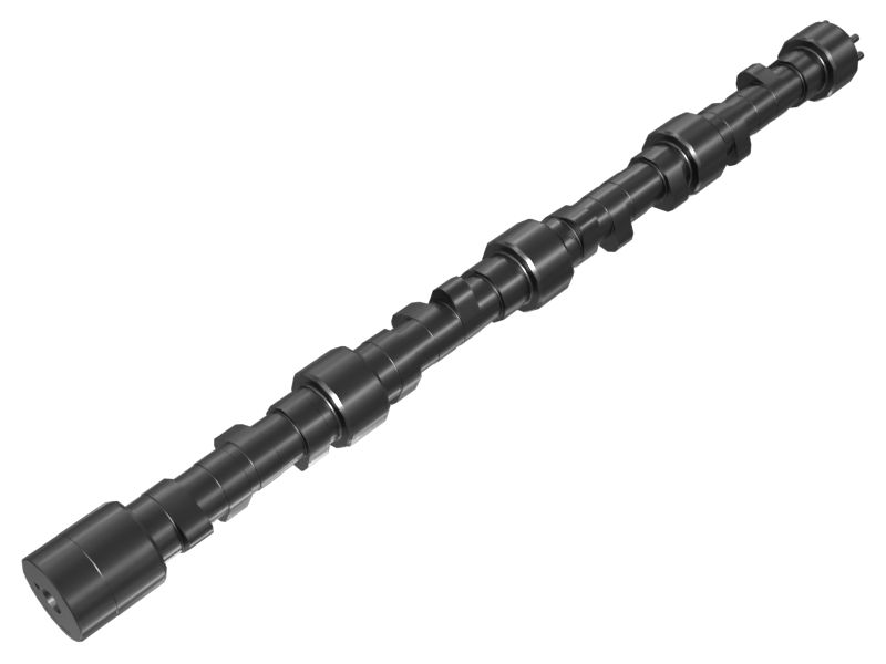 16 Cylinder Engine Camshaft