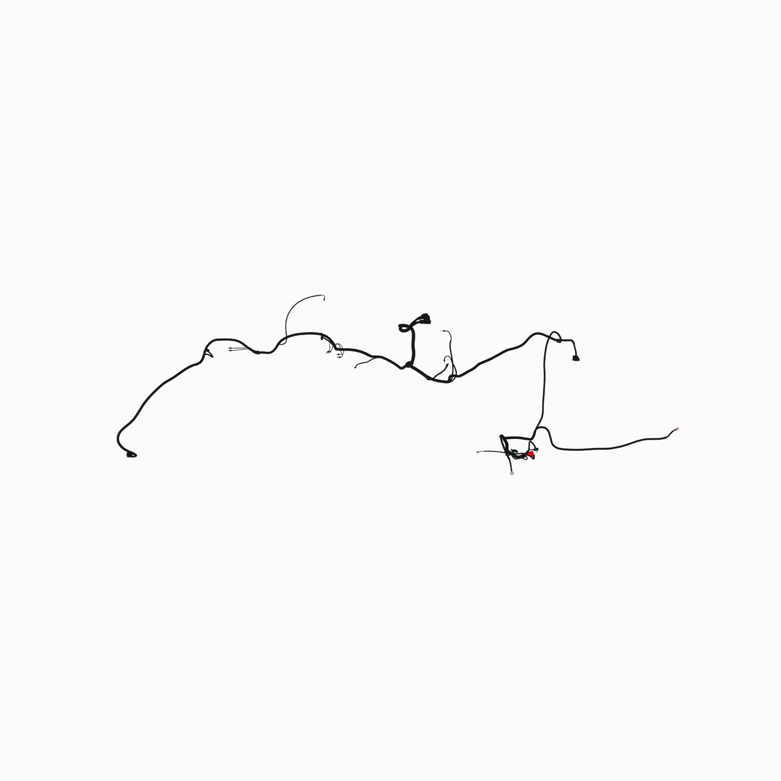 Engine Wiring Harness