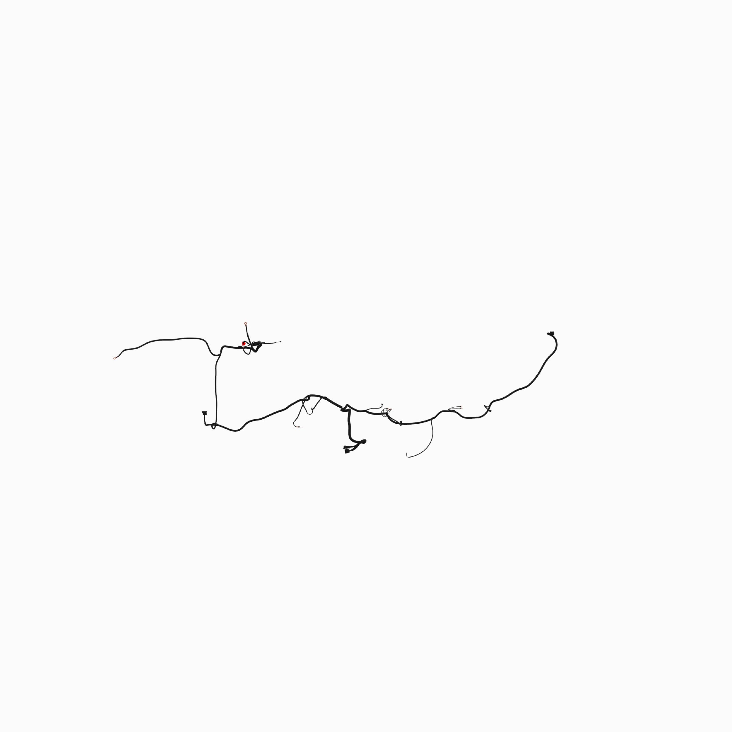 Engine Wiring Harness