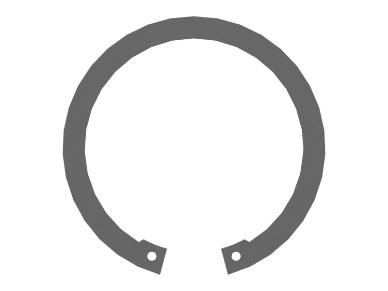 RING-SNAP