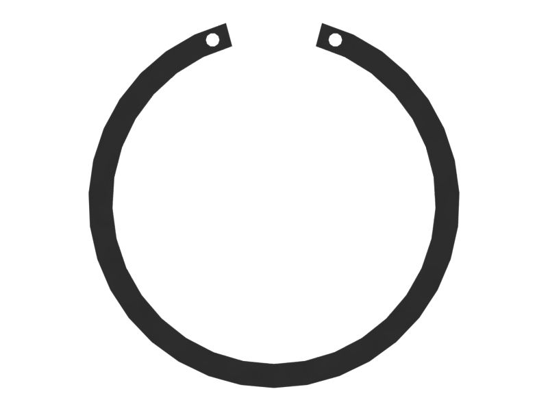 RING-SNAP