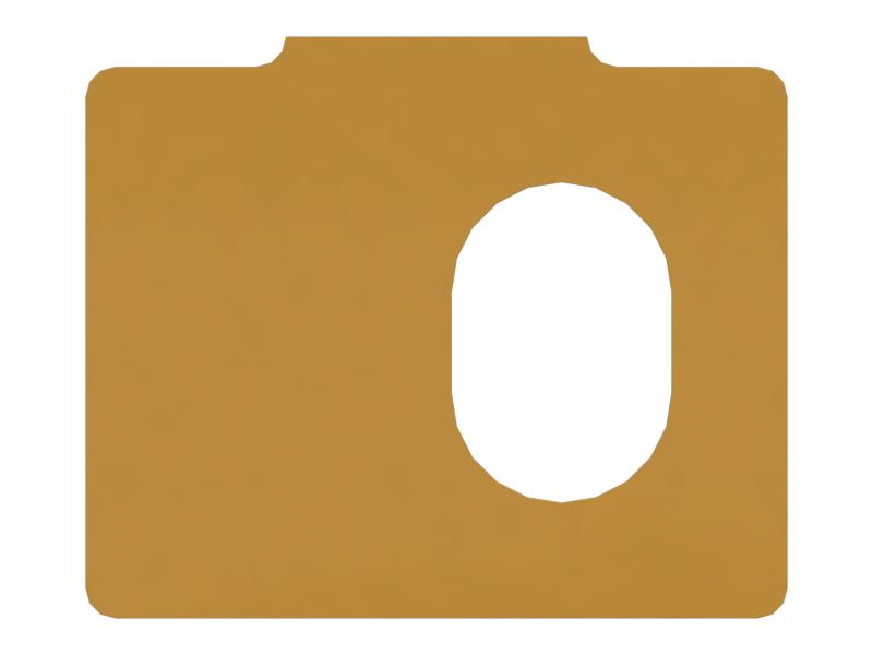 Front Guard Film