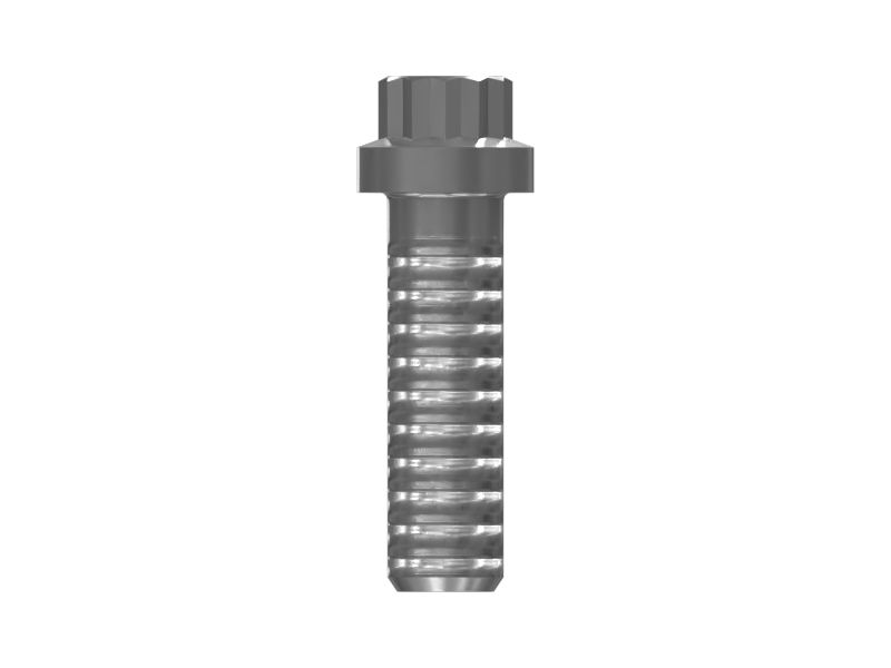 MJ16x2 12 Point Head Bolt