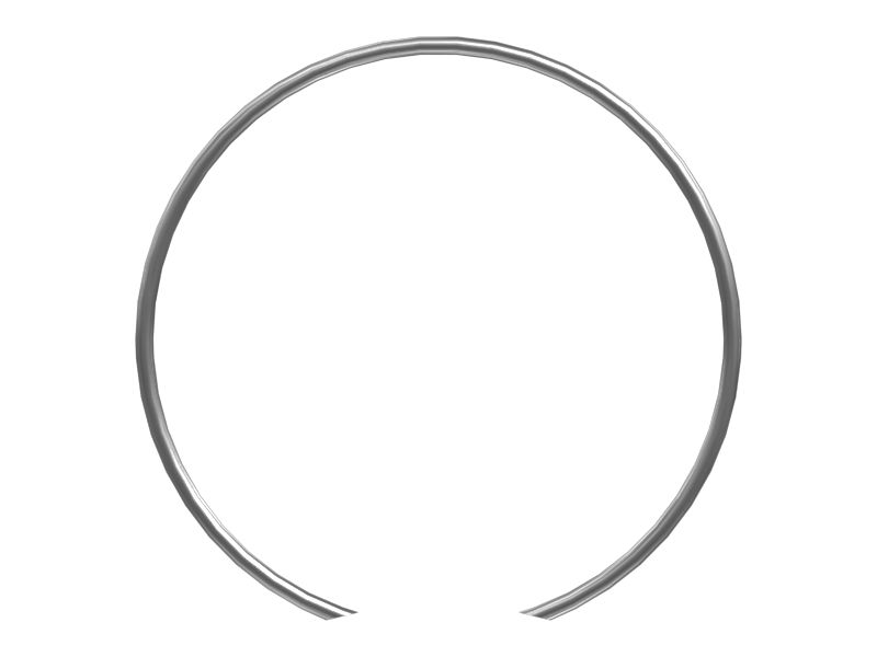 503-9713: Retaining Ring 5039713 купить