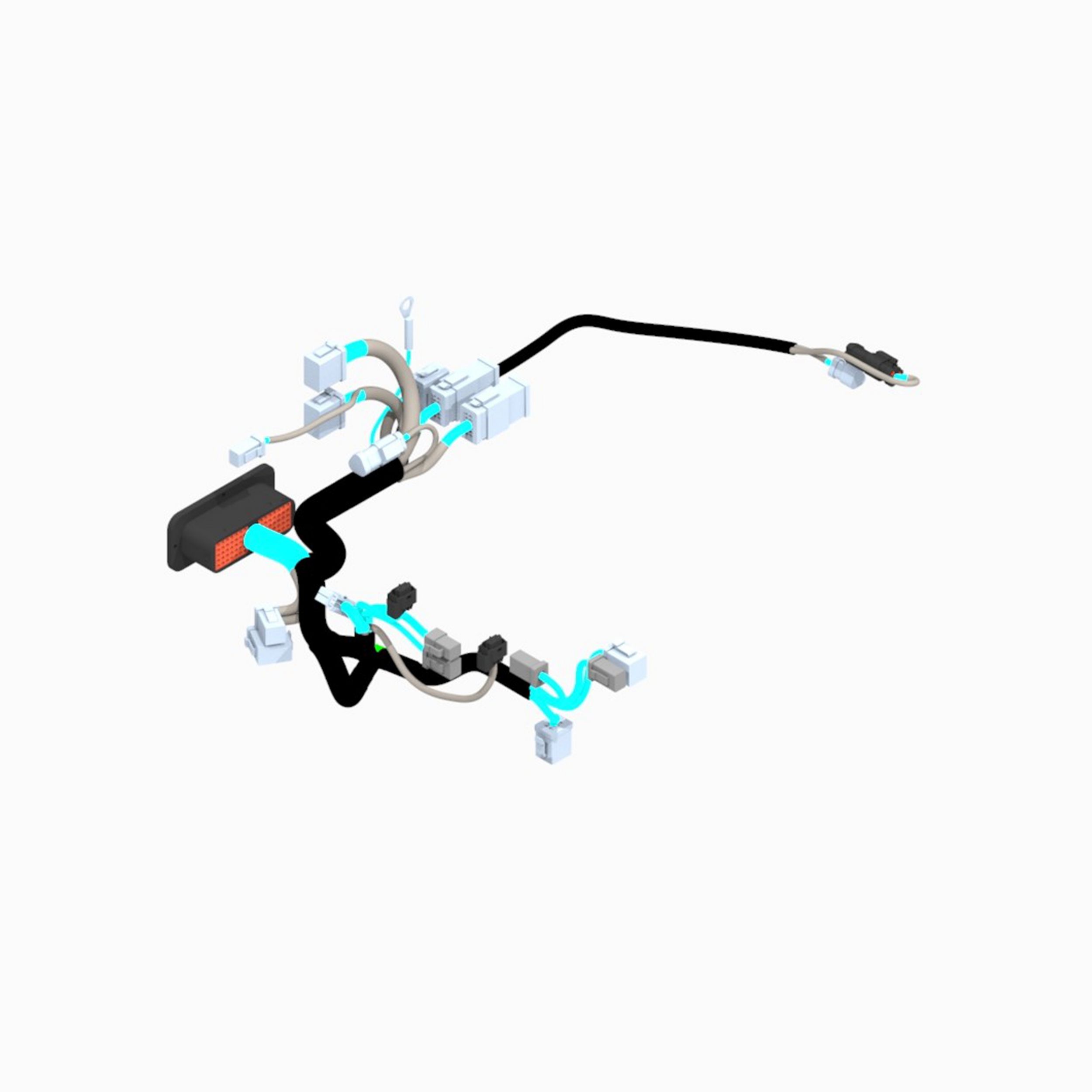 Harness Assembly-Main