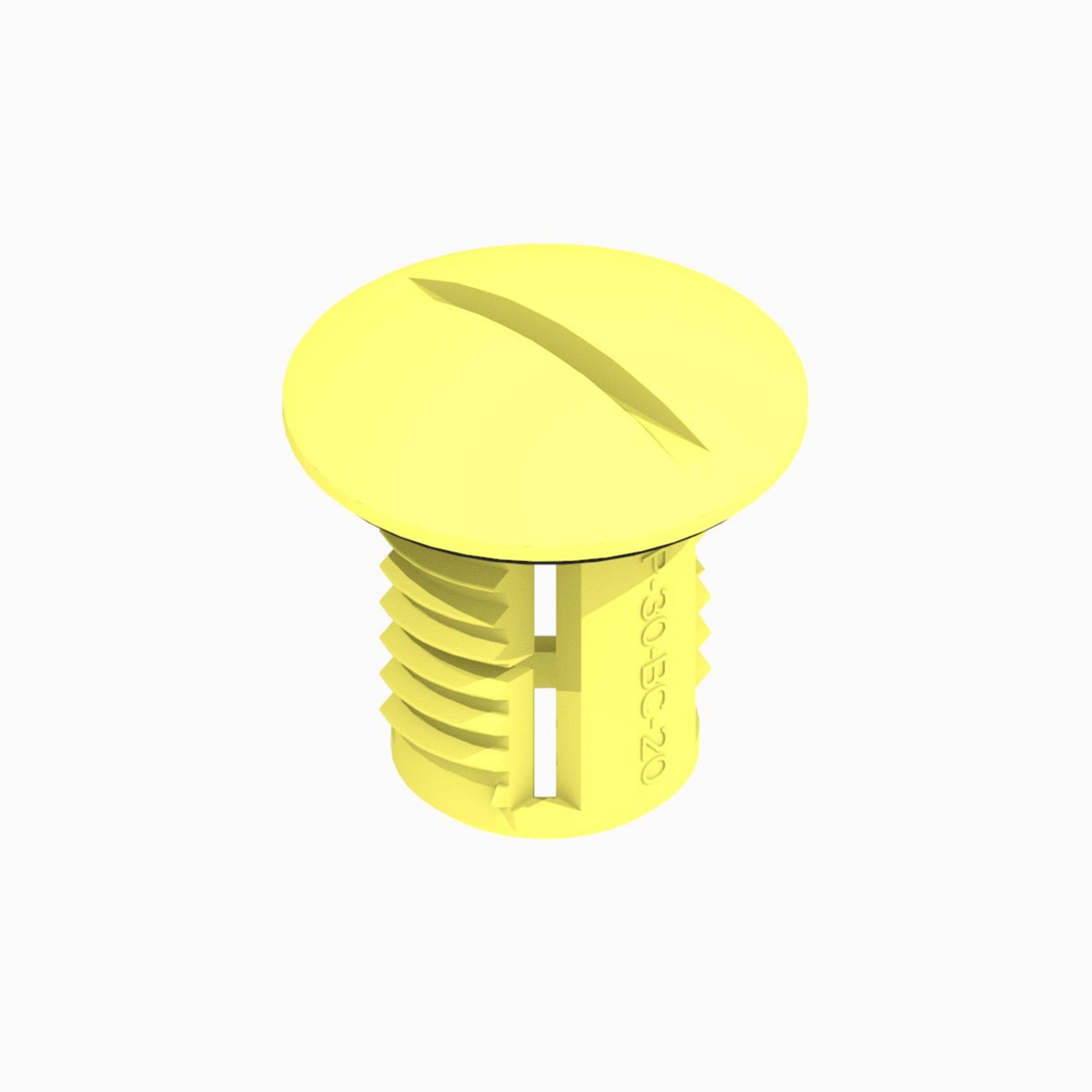 Plug
