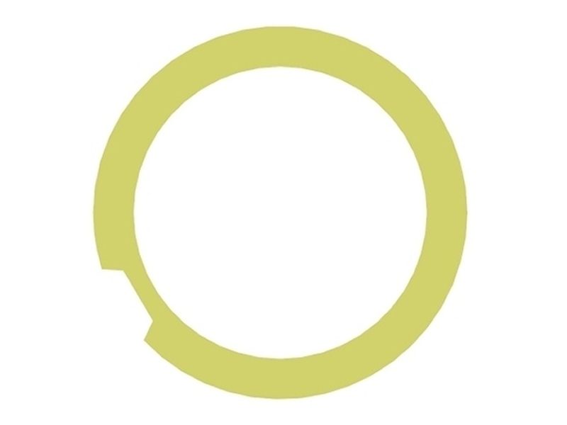 Sealing Gasket