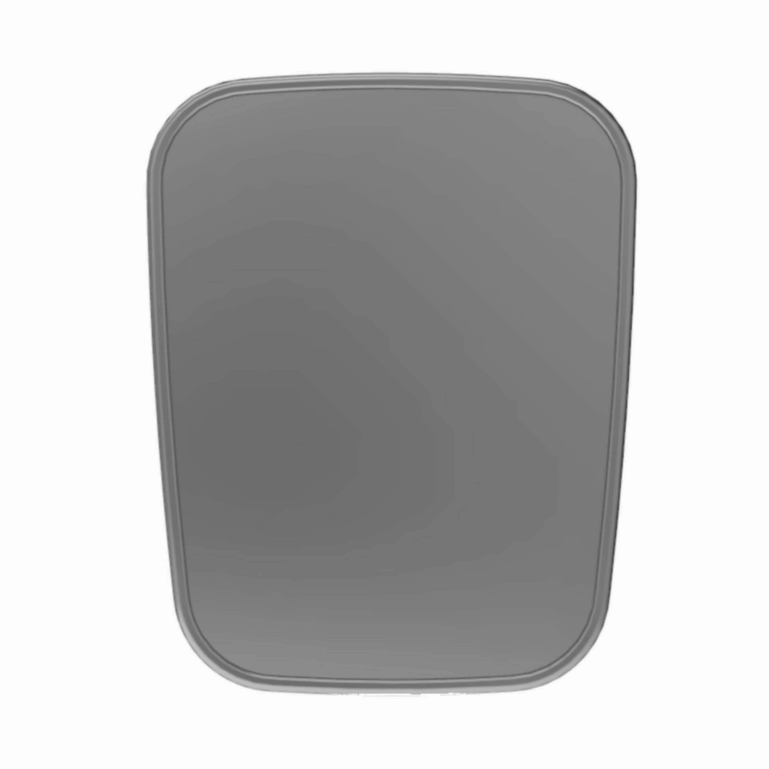 Rear View Cabin Mirror