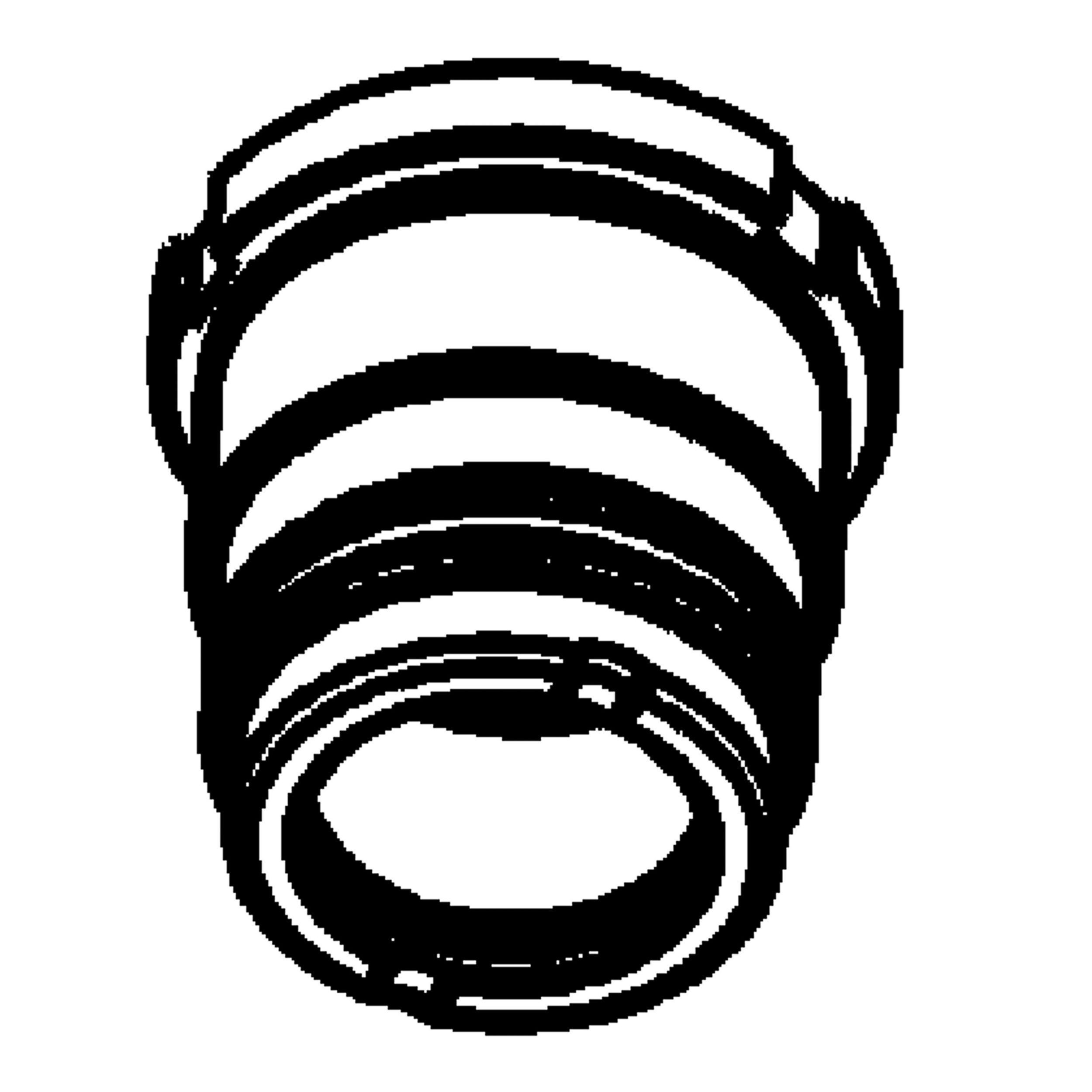Head