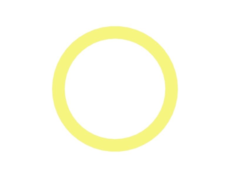 Sealing Gasket