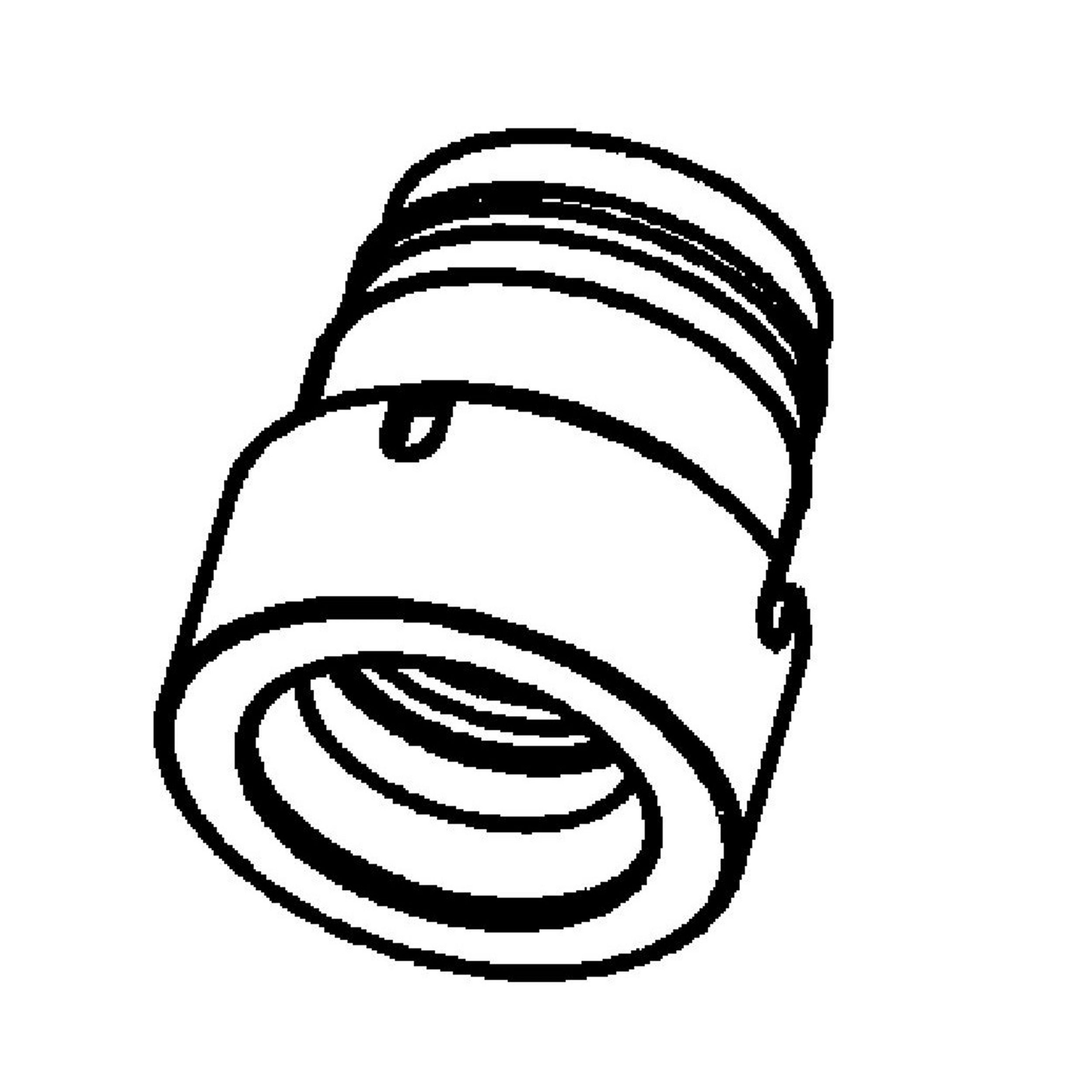 Head