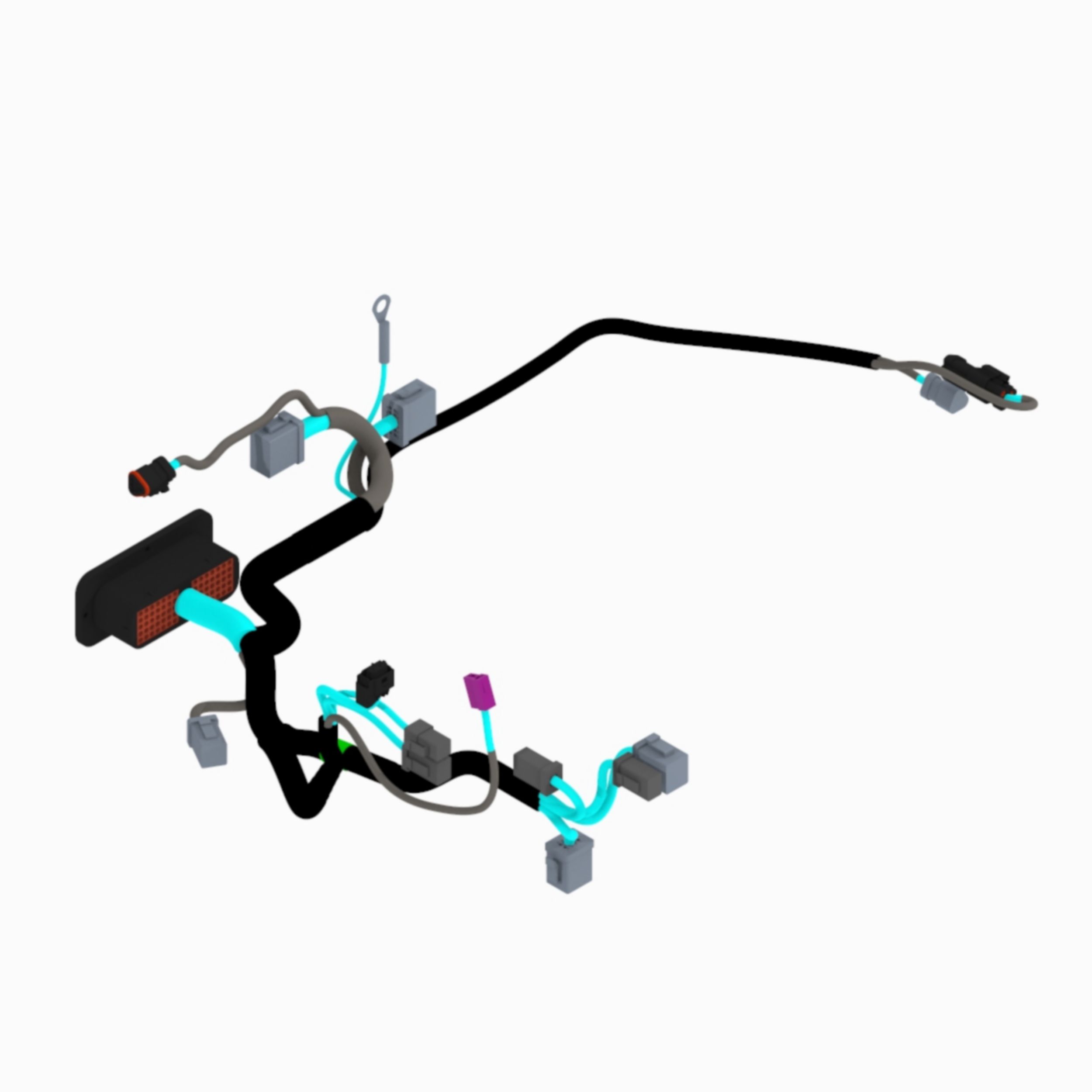 Harness Assembly-Main