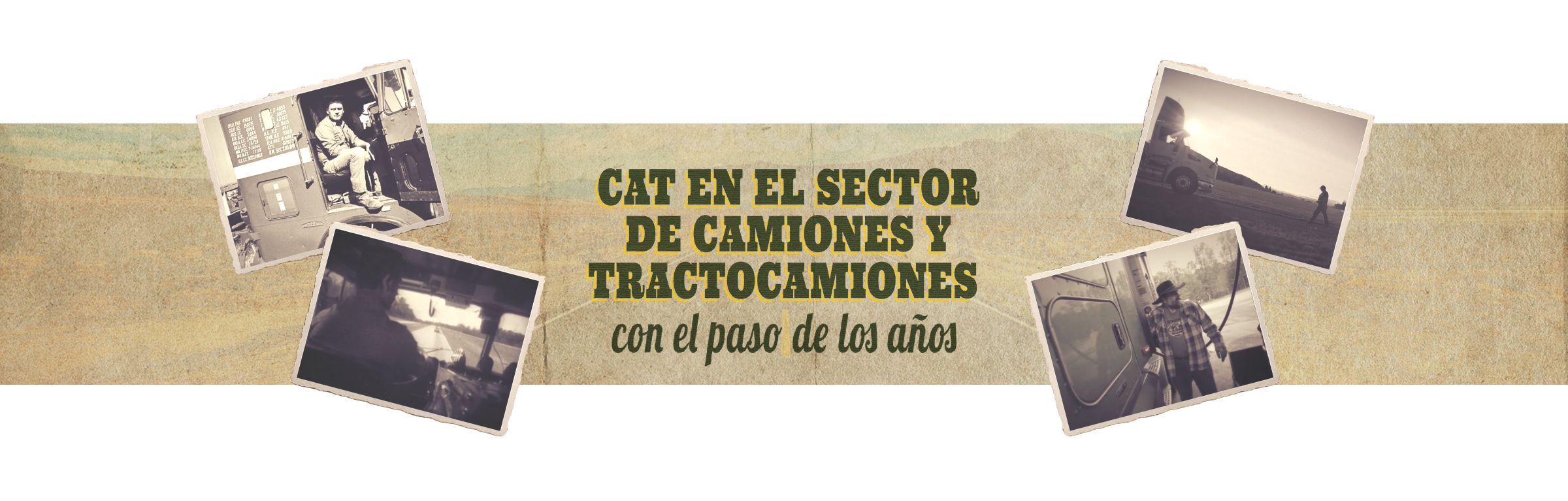 Cat through the years