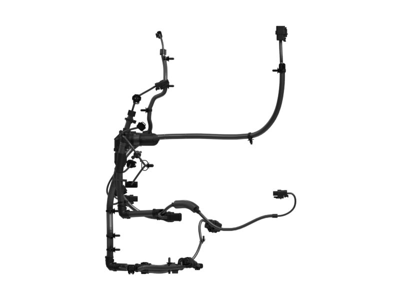 Engine Wiring Harness