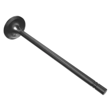 490-7198: Motor Emme Valfi