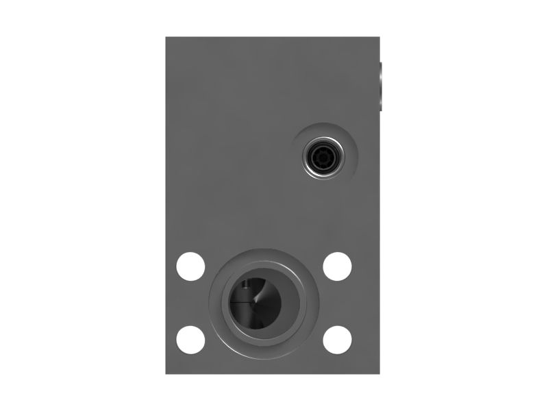 Steering Line Check Valve