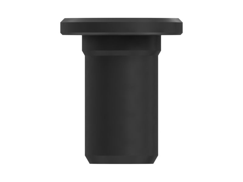 НАПРАВЛЯЮЩАЯ