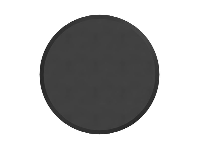 НАПРАВЛЯЮЩАЯ