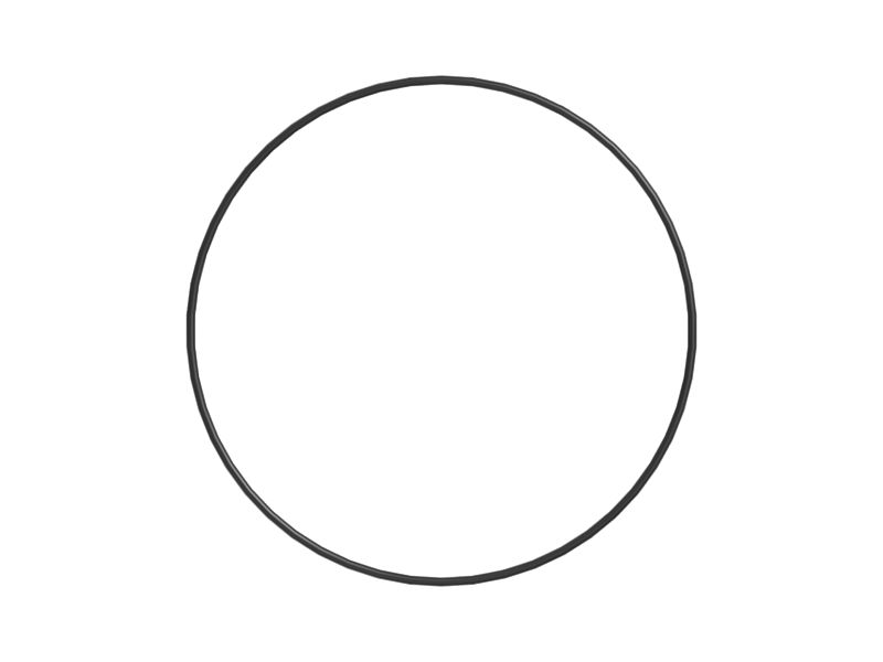 Уплотнительное кольцо с внутренним диаметром 101,32 мм