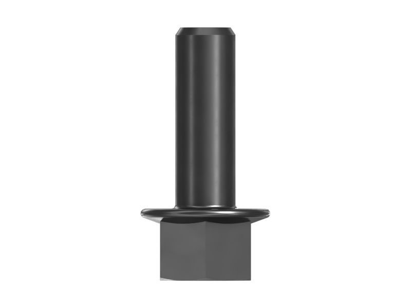 Flange Head Bolt
