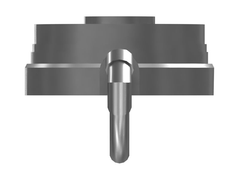 ВОЗБУДИТЕЛЬ P