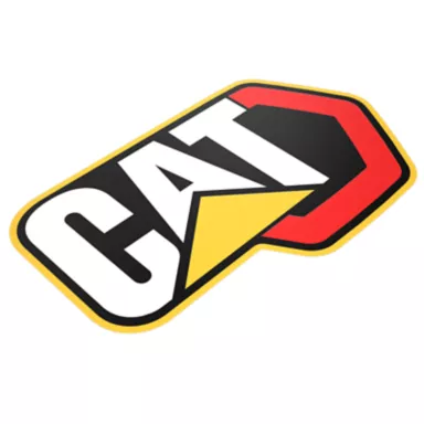 647-7941: Cat Branding Film
