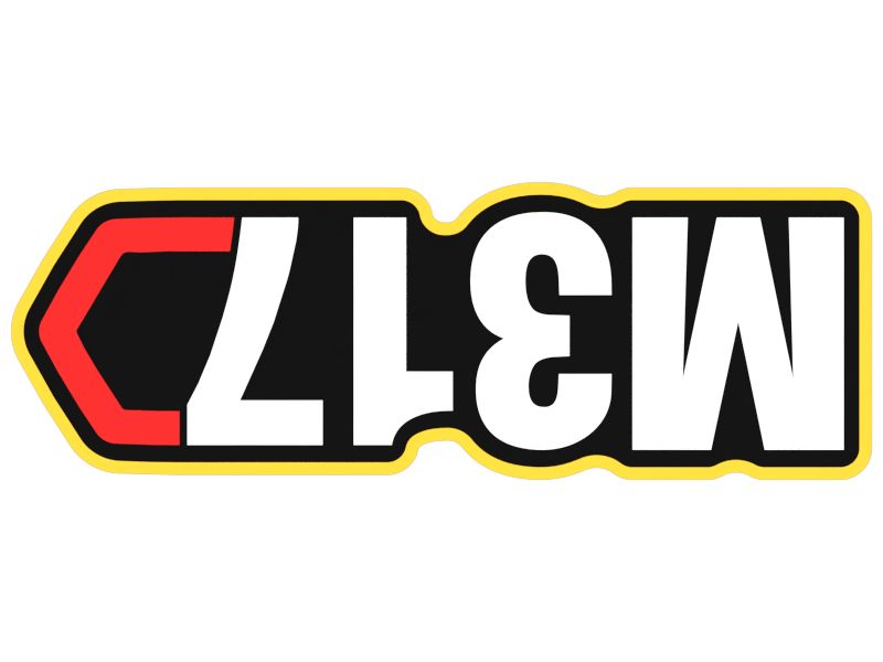 M317 Identification Film