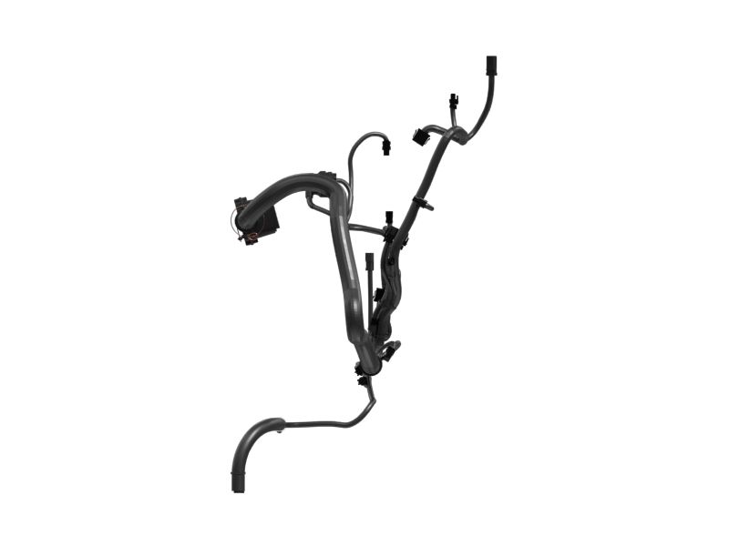 Engine Wiring Harness