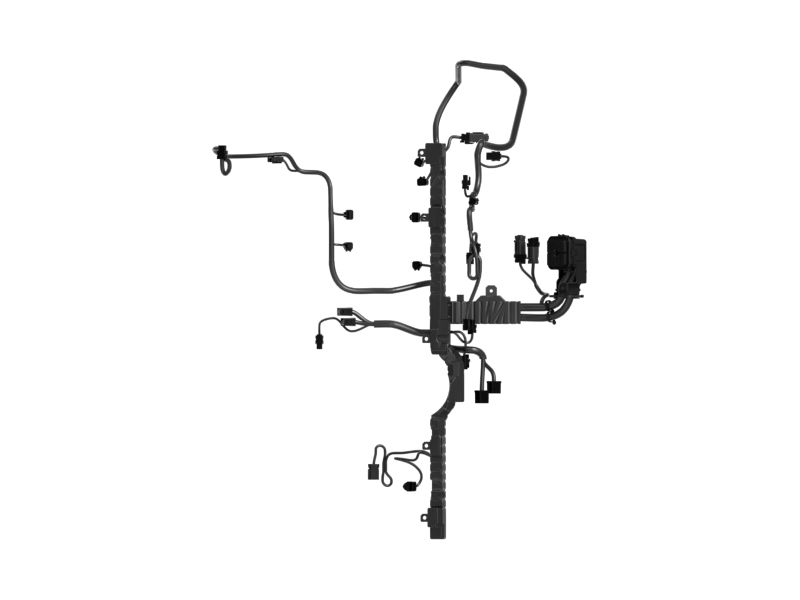 Engine Wiring Harness