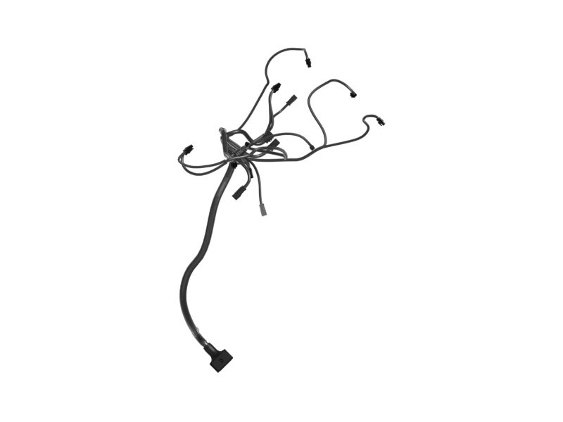 Engine Wiring Harness